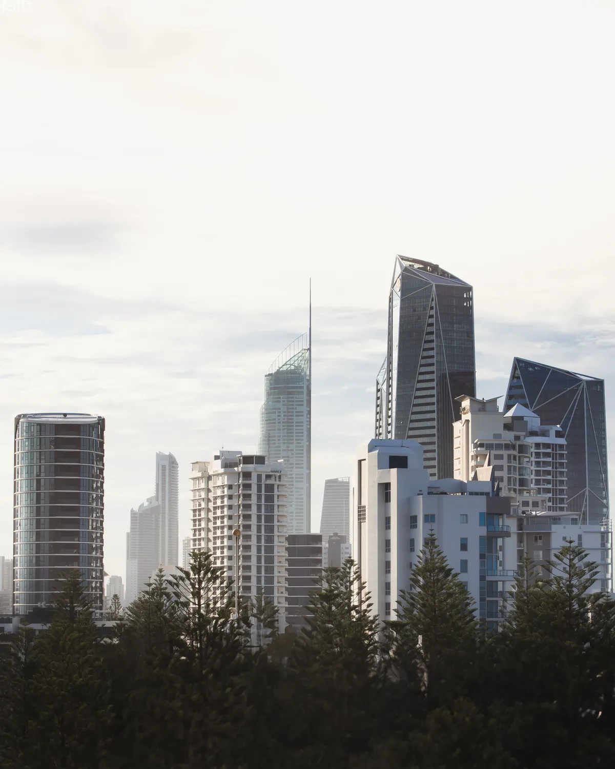 Steelgarden team — landscape architecture
